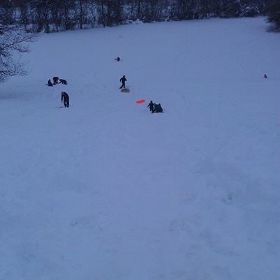 Sledding